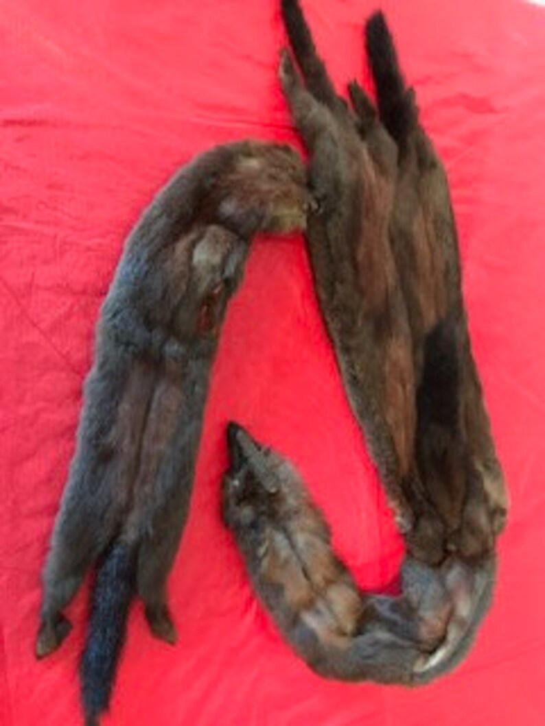 Fox fur stole fur collar two available light brown dark brown Priced per stole fur fox stole fox fur fox fur fur