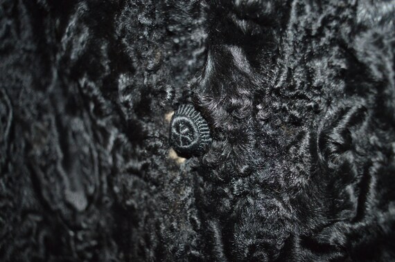 Persian Lamb Fur Jacket / black / brown mink coll… - image 9