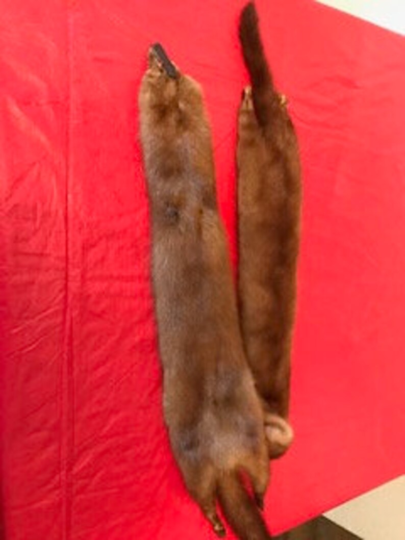 Fox fur stole fur collar two available light brown dark brown Priced per stole fur fox stole fox fur fox fur fur