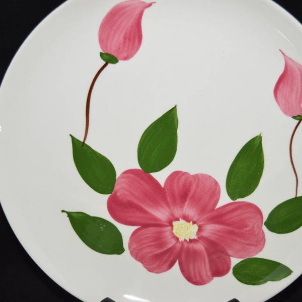 Rio / Stetson / dinner plates / 1950s / hand painted / under glaze / pink / flower / buds / green leaves / Set of 4 / Stetson / plates