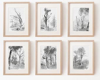Ensemble de 6 dessins d’arbres, impression d’art, images hygge, image de la nature, décoration murale rustique, forêt d’illustration au crayon, noir et blanc, nordique