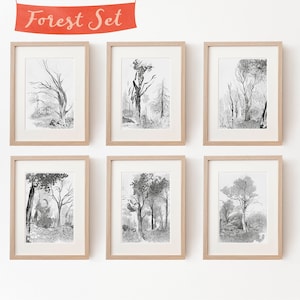 6 Baum Zeichnungen im Set, Kunstdrucke, wunderschöne Wald Illustrationen, Herbst Poster schwarz weiß, skandinavischer Stil, Shop in Berlin