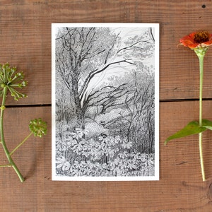 Carte postale d’arbre, carte postale d’art de la nature, illustration d’automne, postcrossing, dessin au crayon de forêt, noir et blanc, tendance scandinave au charme nordique
