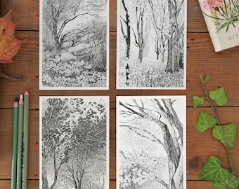 4 Postcard Set Trees, woodland decor, fall tree picture, postcrossing, beautiful, detailed pencil illustration of forest, black & white, new
