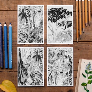 Lot de 4 cartes postales de la jungle, décoration de forêt tropicale, image d'arbre de la jungle, traversée, illustration détaillée de la jungle au crayon, noir et blanc, neuf