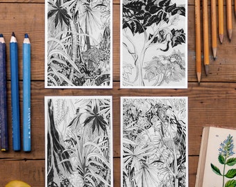 Set di 4 cartoline della giungla, arredamento della foresta pluviale, foto dell'albero della giungla, postcrossing, illustrazione dettagliata a matita della giungla, bianco e nero, nuove