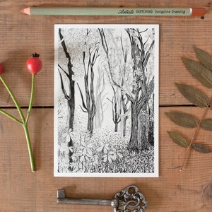 Tree Postcard, woodland decor, fall picture, postcrossing, beautiful pencil illustration of forest, black & white, scandinavian nordic charm No