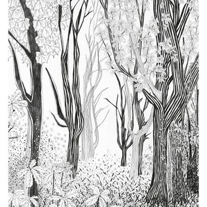Tree Postcard, woodland decor, fall picture, postcrossing, beautiful pencil illustration of forest, black & white, scandinavian nordic charm image 2