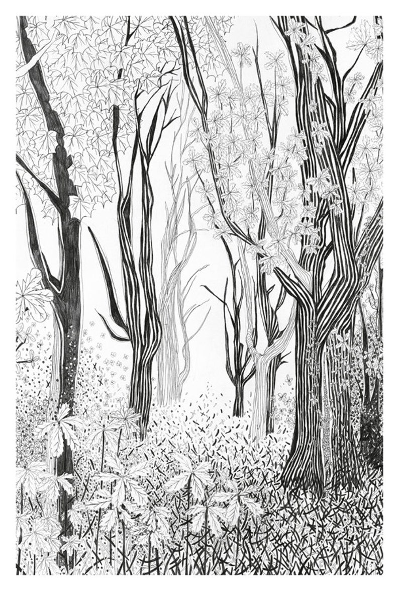 Tree Postcard, woodland decor, fall picture, postcrossing, beautiful pencil illustration of forest, black & white, scandinavian nordic charm image 2