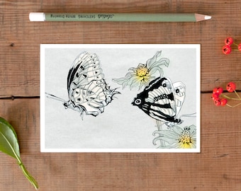 Postcard Butterflies of New Zealand, butterflies illustration, illustrated butterfly postcard, wildlife drawing gift card nordic German Shop