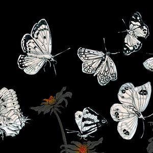 Butterflies Print, Fine Art Print, fine illustration NZ butterflies, butterflies by night, home decor, black white red, nordic, German shop image 2