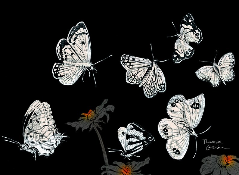 Butterflies Print, Fine Art Print, fine illustration NZ butterflies, butterflies by night, home decor, black white red, nordic, German shop image 2