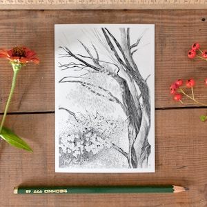 Postal de árbol, postal de arte, tarjeta de bosque, obra de arte de la naturaleza, postcrossing, ilustración detallada a lápiz del bosque nórdico en blanco y negro, nuevo