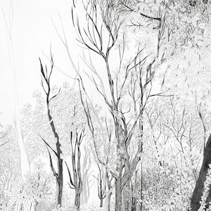 Baum Zeichnung, Kunstdruck, wunderschöne, detailverliebte Illustration Wald, Baumbild, Baumzeichnung, Natur Kunst, in schwarz und weiß