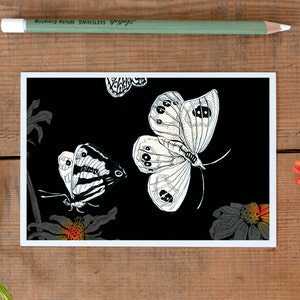 Carte postale Papillons de Nouvelle-Zélande, papillons de nuit, carte postale illustrée de papillons, dessin d'animaux sauvages, cadeau été automne, boutique allemande