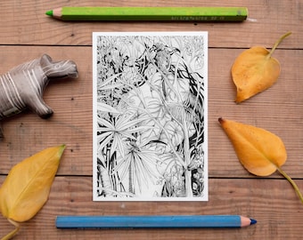 Jungle Postcard, jungle decor, rainforest birds picture, exotic parrot, postcrossing, beautiful pencil illustration, black and white, new