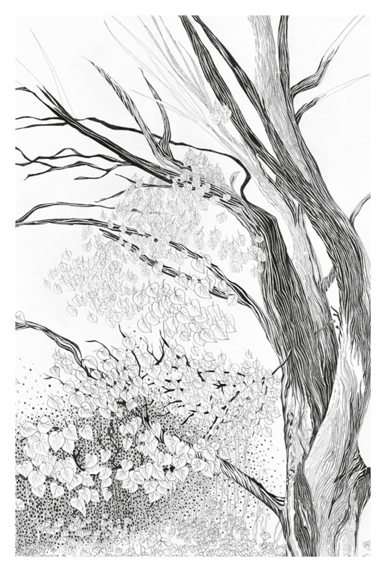 Tree Postcard detailed pencil illustration of forest nordic black and white postcrossing art postcard new woodland card nature artwork