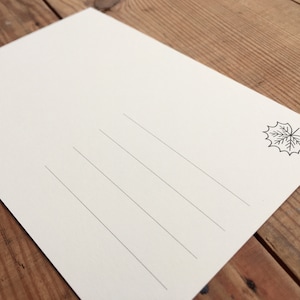 May include: Blank white postcard with a black line design and a small black leaf illustration in the upper right corner.