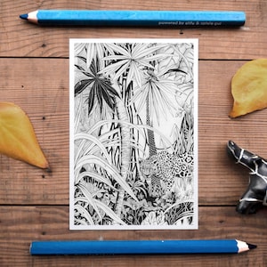 Carte postale de la jungle, décor de la jungle, mini impression jaguar, photo de la forêt tropicale, postcrossing, belle illustration de chat sauvage au crayon, noir et blanc nouveau