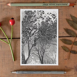 Carte postale d'arbre, carte postale de forêt, photo d'automne, carte postale de forêt illustrée, dessin graphique au crayon, postcrossing, noir blanc, charme nordique