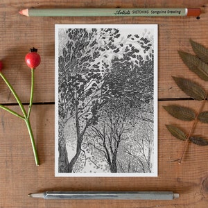 Tree Postcard, woodland postcard, fall picture, illustrated forest postcard, pencil graphic drawing, postcrossing, black white, nordic charm