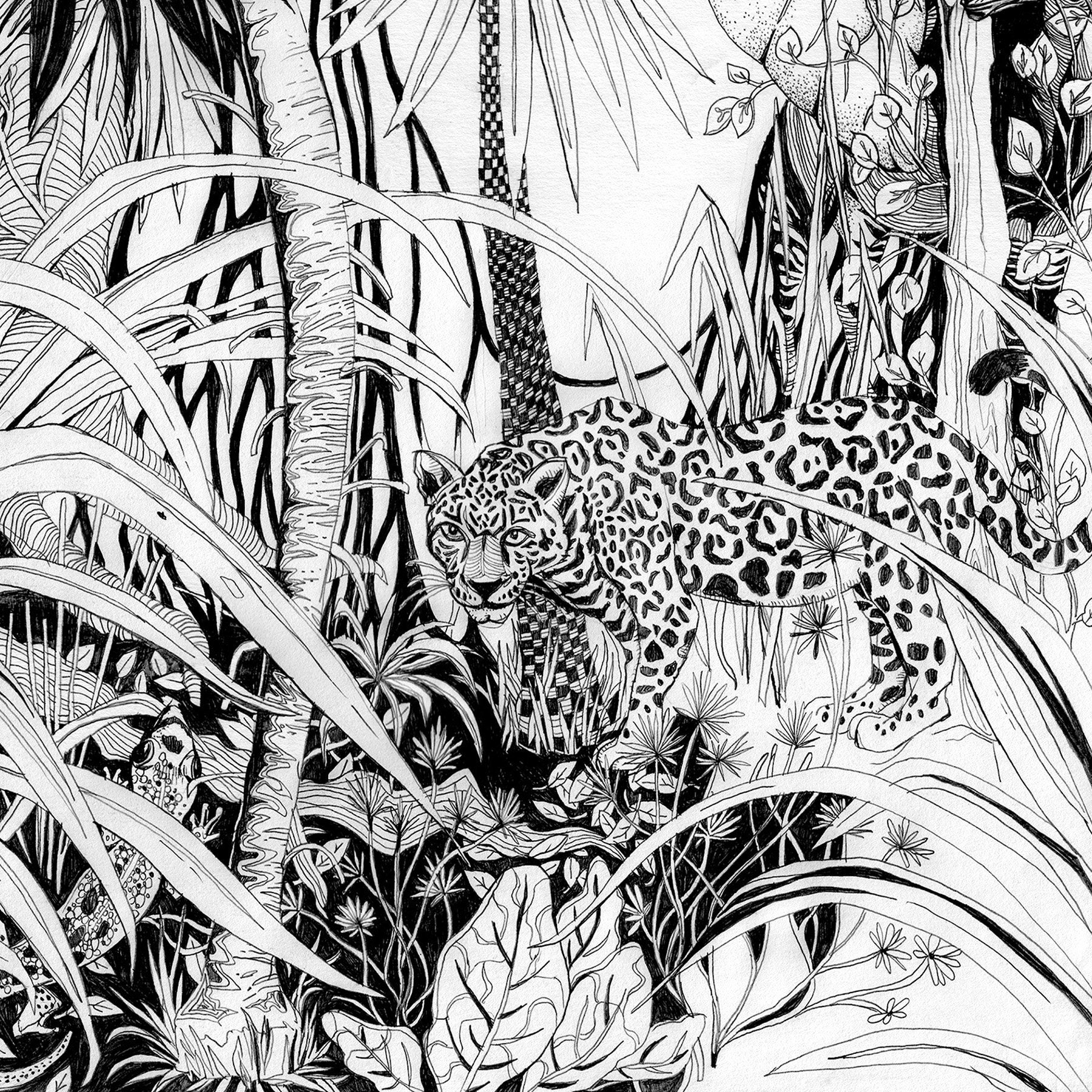 Jungle tekening landschap formaat Fine Art Print tropische | Etsy Nederland
