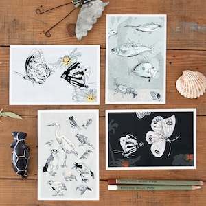 4 Set di cartoline Wildlife NZ, bella illustrazione di animali, cartolina illustrata, carta scientifica di arte animale, arredamento per la casa, negozio tedesco