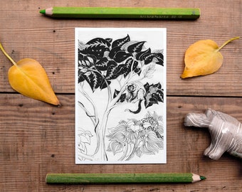 Jungle Postcard, jungle decor, exotic postcard, rainforest picture, postcrossing, beautiful pencil monkey illustration, black & white, new