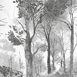 Tree drawing, Woodland Print, forest lagom art print, beautiful pencil illustration, nature art, black & white, Nordic Art, Scandinavian Art