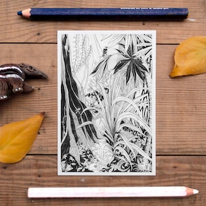 Jungle Postcard, jungle decor, exotic postcard, rainforest wildlife picture, postcrossing, beautiful pencil illustration, black & white, new