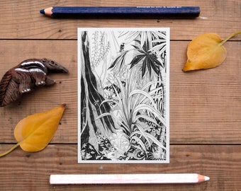 Jungle Postcard, jungle decor, exotic postcard, rainforest wildlife picture, postcrossing, beautiful pencil illustration, black & white, new