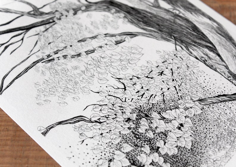 Tree Postcard detailed pencil illustration of forest nordic black and white postcrossing art postcard new woodland card nature artwork