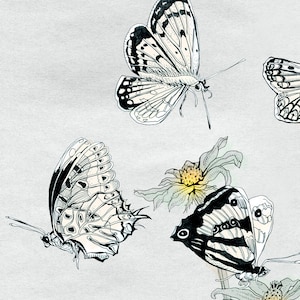 Butterflies Illustration, Fine Art Butterfly Print, illustration of NZ Butterflies by day, home decor, grey white black yellow, German Shop image 3