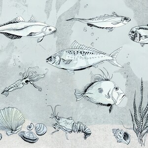 Impressão de vida marinha Nova Zelândia, impressão de arte de peixe, ilustração marítima, decoração náutica de conchas de peixe, presente de pescador, cinza azul preto branco, nórdico