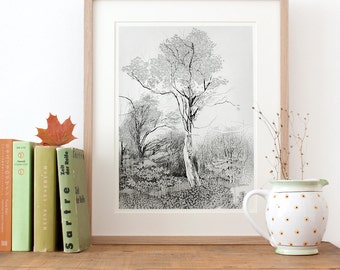 Tree drawing, Fine Art Print, woodland decor, beautiful forest pencil illustration, fall art hygge print, livingroom picture, black white