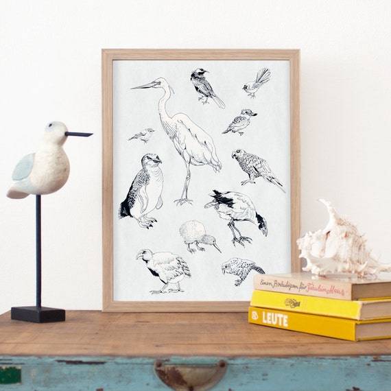 bird whiteページ Birds of New Zealand Print, Bird Art Print, Pretty Scientific