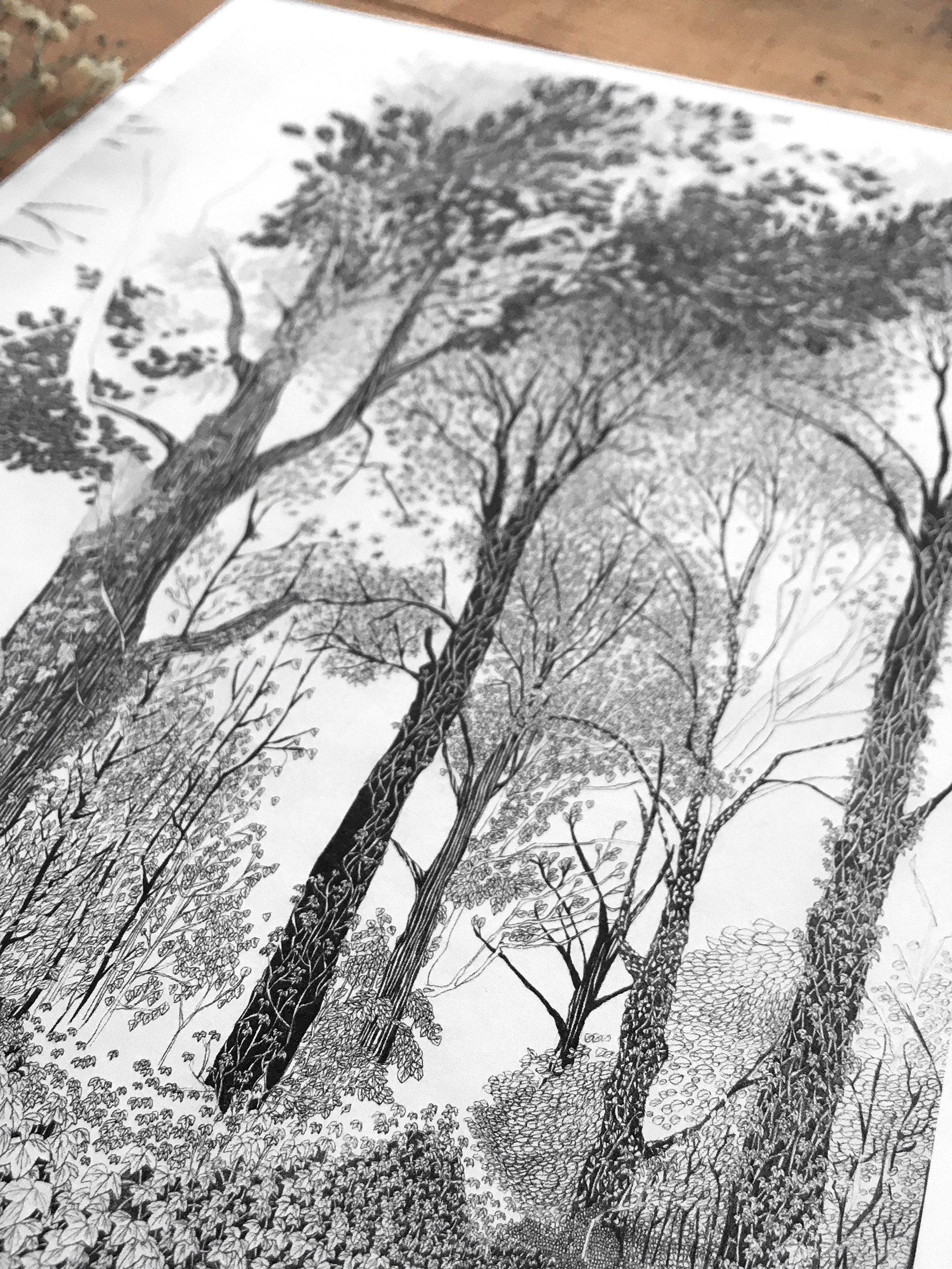 木の絵、森のプリント、森のラゴムのアートプリント、美しい鉛筆画