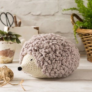 Henry the Hedgehog Crochet Kit. Beautiful Amigurumi Hedgehog Kit. Easy Crochet Kit to make a Hedgehog. Pattern by Wool Couture.
