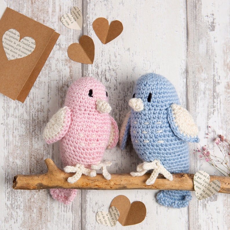 Valentines Love Birds Crochet Kit Easy Crochet Pattern Wedding Anniversary Gift Amigurumi By Wool Couture 画像 1