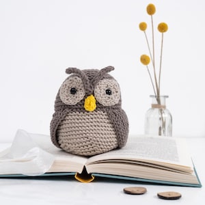 May include: A handmade crochet owl in shades of gray and beige, with a yellow beak and large, round eyes. The owl is sitting on an open book. A small glass vase with yellow flowers is in the background.