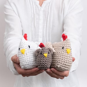 The Hen & Chick Beginner Knitting Kit