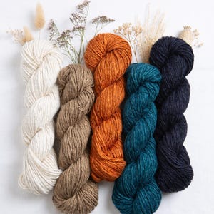 May include: Five skeins of colourful yarn in cream, brown, orange, teal, and navy blue are displayed. Dried flowers and grasses are arranged around the yarn. The yarn is thick and appears to be wool, ideal for knitting or crochet projects.
