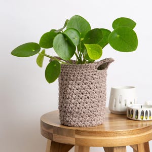 May include: A Pilea peperomioides plant with round green leaves sits inside a textured, light brown crocheted basket. The basket features a cylindrical shape with two small integrated handles at the top rim, crafted from thick yarn.