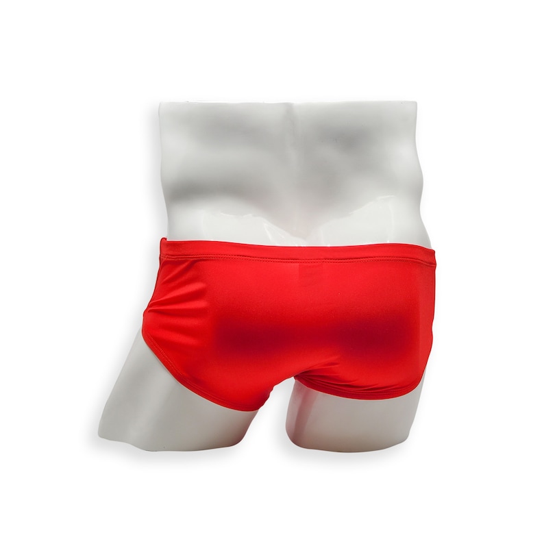 Mens Swimsuit Vintage Cut Swim Brief in Red for Swimming Aesthetic Bodybuilding Posing or Mens Pole Dance image 5