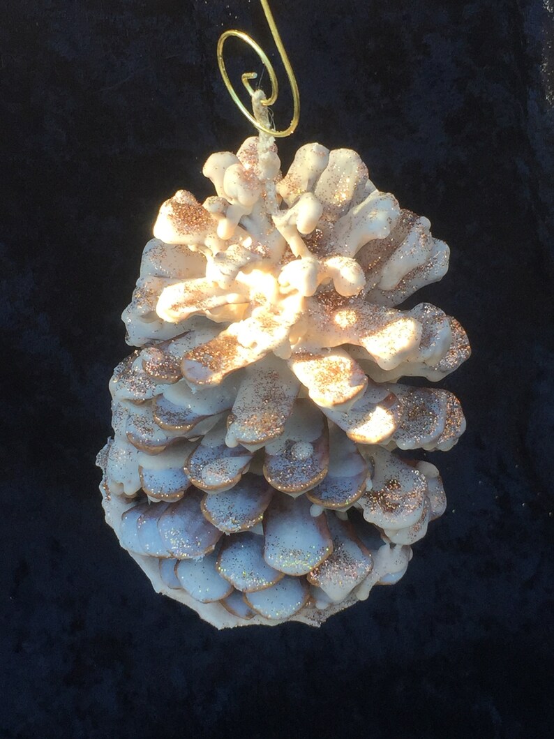 12 Pine Cone Fire Starters Strung With Cotton String Hand Dipped in