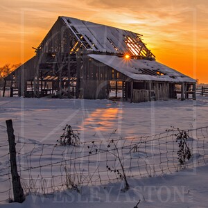 May include: A weathered wooden barn with a collapsed roof stands in a snowy field at sunset. The sun shines through the gaps in the roof, creating a warm glow. A wire fence runs along the edge of the field.