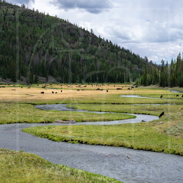 Winding Valley River | Mountain Valley | Winding River | Landscape Photography | Digital Download