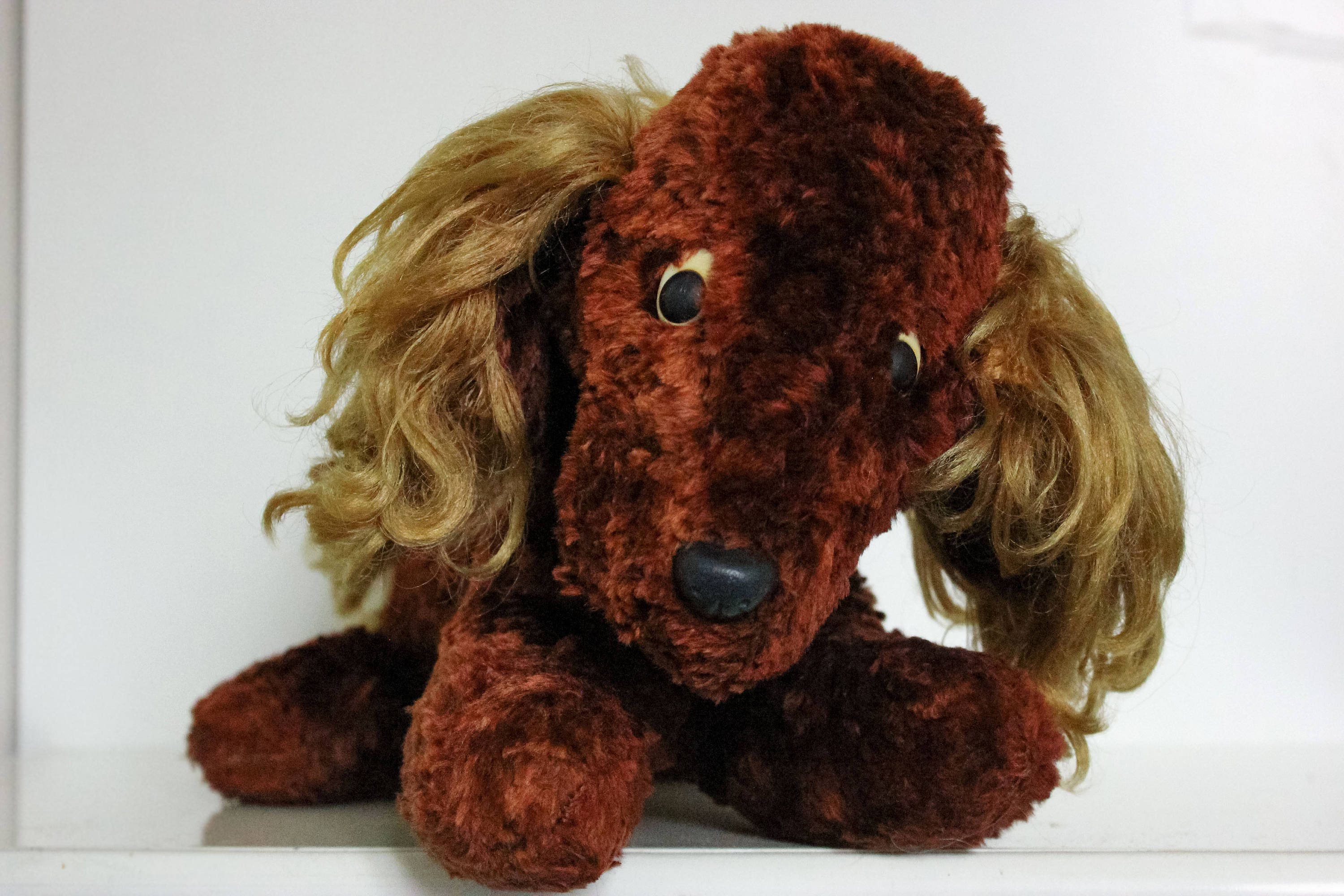 cuddly toy sausage dog