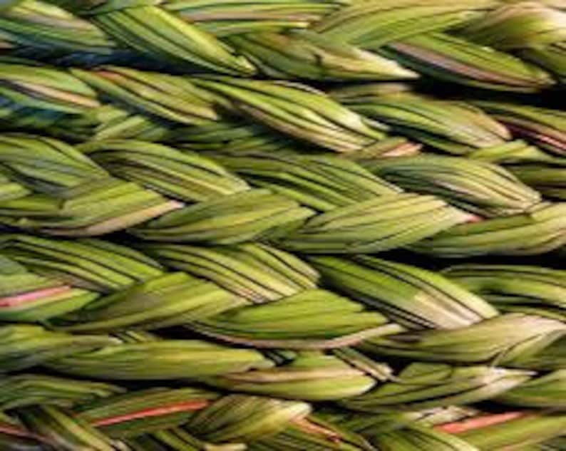 Sweet Grass Seeds Hierochloe odorata Sacred Ceremonial Etsy