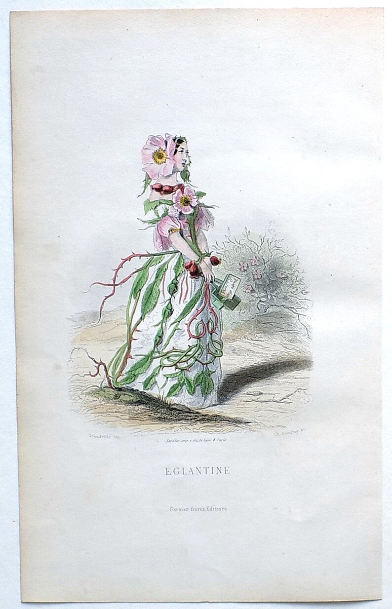 Animated Flowers. SWEET BRIAR 1867 Original Antique Engraving Les Fleurs Animees by Grandville